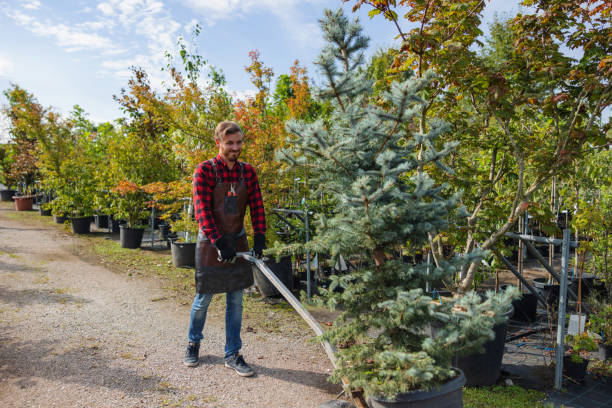 Best Lawn Maintenance Plans  in Orida Gulf Coast University, FL